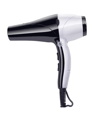 Professtional Hair Dryer 2000W Ionic Hairdryer Blow Dryer Salon Hairdryer 2 Speed 3 Heat Setting with Negative ION Eliminate Static Electricity Low Noise Lightweight for Home Travel Small Gift