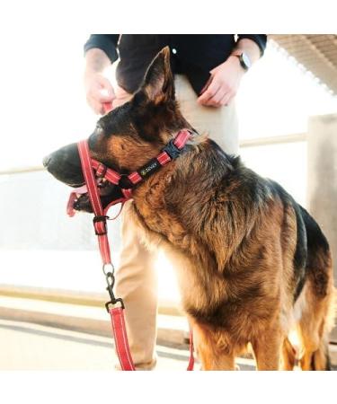 Zevey Dog Head Halter with Leash and Safety Strap Stops Heavy Pulling On The Leash Padded Reflective Headcollar for Small Medium Large Dogs Adjustable Head Harness for Training and Walking (XL Pink) XL Pink - Buy Online on GoSupps.com