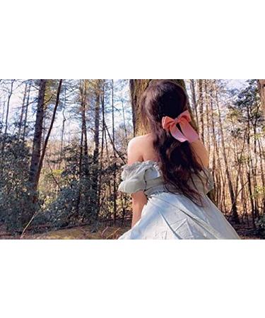 Ericotry 3X Large Satin Hair Loop Clips - Soft & Silky Hair Accessories for Women & Girls (Random Colors) - Buy Online on GoSupps.com
