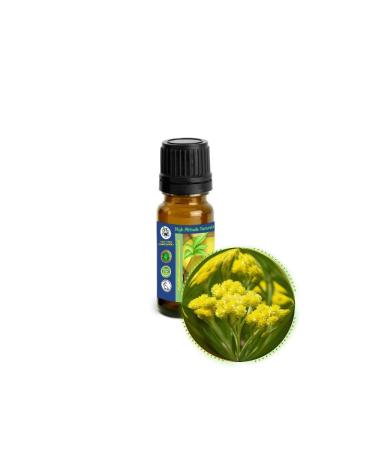 10ml (1/3oz) Helichrysum Essential Oil (Helichrysum Italicum) - 100% Pure Undiluted Uncut