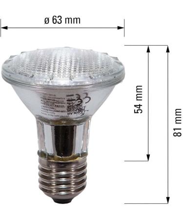 Buy Solar Raptor UV Halogen Spot 35W | Reptile Heat Lamp & Terrarium Light with Daylight Spectrum - International Shipping Available - Buy Online on GoSupps.com
