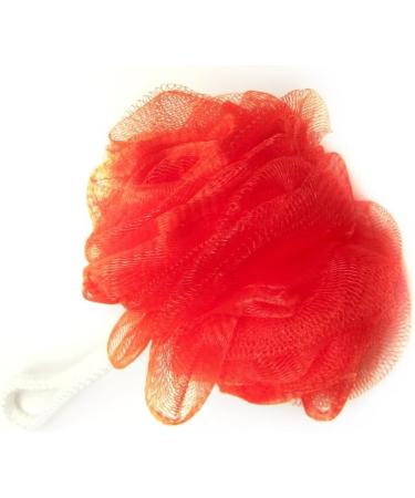 Buy Treasure Gurus Set of 4 Loofa Exfoliating Body Scrubber - Ideal Bath & Shower Back Sponges | International Shipping Available - Buy Online on GoSupps.com