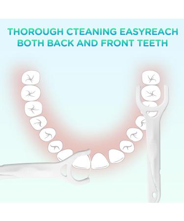 Thorough Cleaning Easy Reach Floss Picks - 120 Count for Back & Front Teeth | Travel Case Included - Ideal for Removing Food & Plaque - Buy Online on GoSupps.com