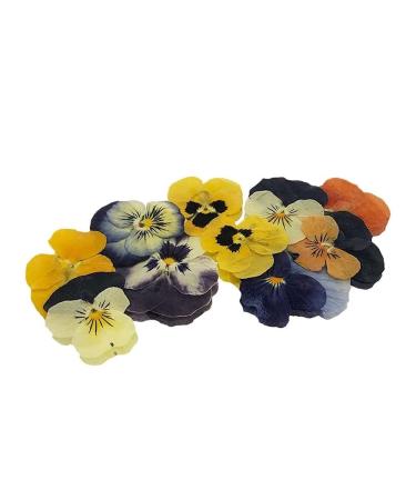 Pressed Violas Edible Flowers