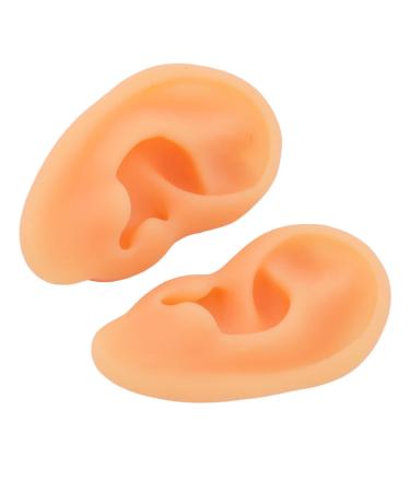 Acupuncture Ear Model 2 Pieces Waterproof Flexible Flexible Ear Mold Widely Used for Doctor