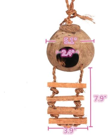Hanging Bird House with Ladder | Natural Coconut Fiber Shell Nest for Parrots, Parakeets, Lovebirds, Finches, and Canaries | Bird Swing Toy for Hamsters | Pet Bird Cage Accessories - Buy Online on GoSupps.com