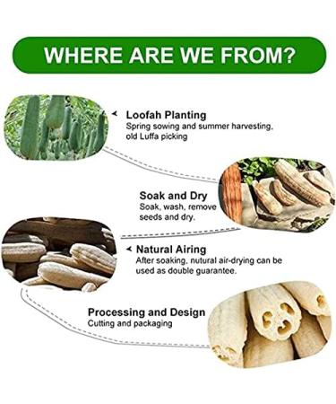 Natural Loofa Luffa Bath Shower Brush - Exfoliating Body Sponge - Buy Online on GoSupps.com