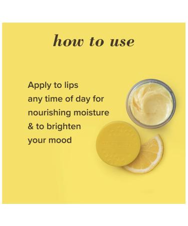 100% Natural Sea Minerals Lip Treatment - Sweet Mint Lemon Sorbet | Hydrating Lip Care - Buy Online on GoSupps.com