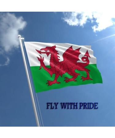 Shachi Great Wales Flag - Welsh Dragon 3ft x 2ft | Polyester Tissue with Brass s for FIFA World Cup Football Rugby & Sports - Buy Online on GoSupps.com