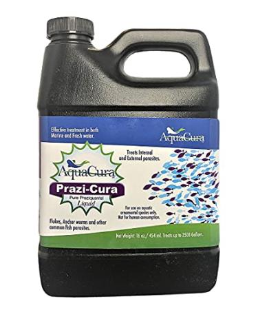 Prazi-Cura Liquid - Safest, Most Effective Parasite Treatment for Koi, and Aquarium Fish! Treats up to 2500 gallons.