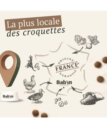 Bab'in Signature Maxi Adulte 12Kg - Croquettes for Large Adult Dogs (From 26Kg) - Natural Healthy and Balanced - Adapted to Nutritional Needs - Rich in Chicken - Buy Online on GoSupps.com