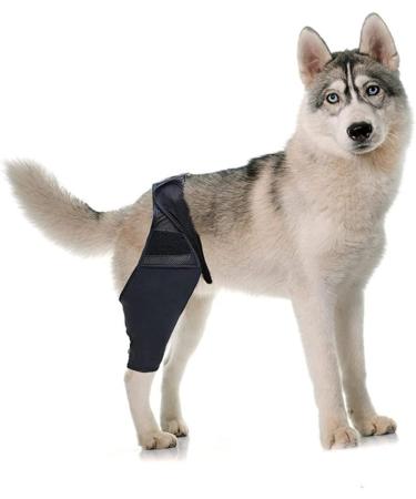Toddmomy Pet Injury Knee Puppy Leg Brace Knee for Dogs Dog Knee Protectors Dog Leg Brace Dog Supplies Dog Knee Cover Dog Injured Knee Dog Leg Cover Pet Injury Supply S As Shown - Buy Online on GoSupps.com