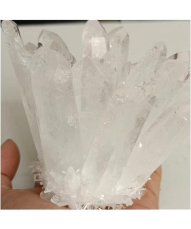 Natural Crystal Rough Home Decor Natural Raw Quartz White Clear Crystal Cluster Stones Crystal Point Specimen Home Decoration Raw Crystals Reiki (Size : 400-650g) - Buy Online on GoSupps.com