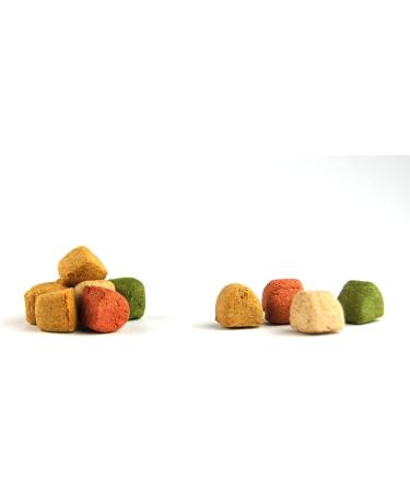 Gourmet Bites for Dogs - 500g Baked Goods | Healthy Natural Dog Treats by Dibo | BARF Dog Biscuit Snacks - Buy Online on GoSupps.com