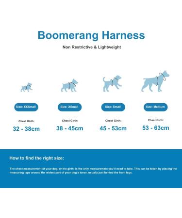 BullyBillows Boomerang Harness | Lightweight & Non-Restrictive Dog Harness | Easy Slip On & Off Design | Premium Quality with Velcro Strap | Carminerose M Medium - Buy Online on GoSupps.com