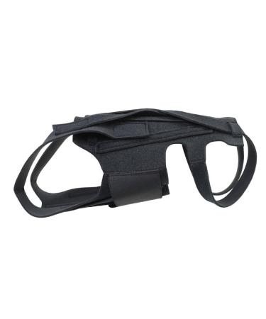 Dog Back Support Ease Discomfort and Aid Healing Supporting Vest for Walking Supportive Dog Back Bracer No Pull Assist Dog Back Bracer Small