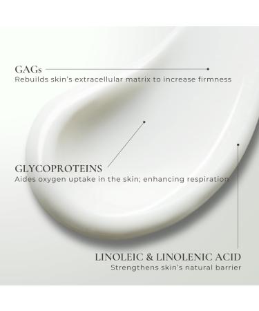 ILONA Buoyancy Re-Oxygenating Moisturizer Face Cream | Oxygen Face Moisturizer Cream | 1.7 oz - Buy Online on GoSupps.com