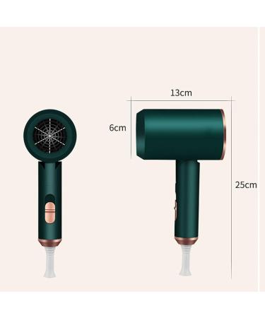 Hair Dryer Powerful Lady Hair Dryer Lightweight Professional Ion Hair Dryer Anti-Frizz Compact 500W Quick Dry - Buy Online on GoSupps.com