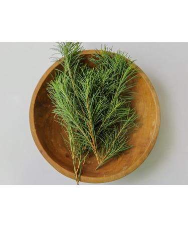 Aromatica Tea Tree Balancing Emulsion 100ml | Natural Skincare for Oily Skin | Shop Internationally - Buy Online on GoSupps.com