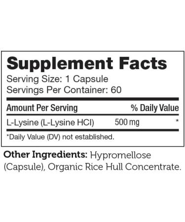 Zahler L-Lysine 500mg - Kosher Freeform L-Lysine Supplement 60 Capsules | International Shipping Available - Buy Online on GoSupps.com