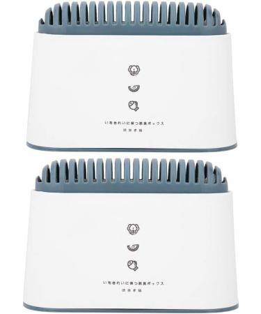Refrigerator Activated Carbon Box - 2 Pack Odor Absorbers | Home Daily Supplies for Fresh Food - Buy Online on GoSupps.com