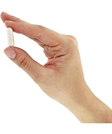 Now Foods Double Strength Hyaluronic Acid 120 Veg Capsules - Skin Hydration & Joint Support - Buy Online on GoSupps.com