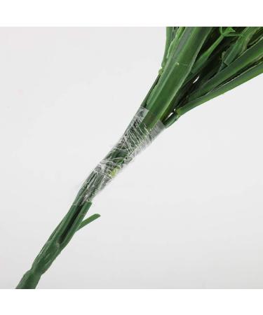 Atyhao Grafting Tape for Fruit Trees - Self Adhesive & Flexible Stretchable Clear Film (2cm) | Ideal Garden Tool for Successful Grafting - Buy Online on GoSupps.com