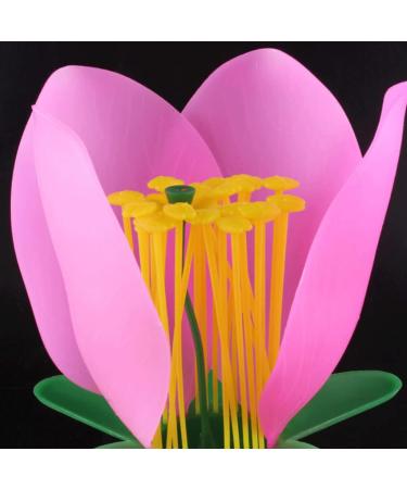 Portable Lifelike Plant Flower Anatomy Model with Display Base - Biology Teaching Aid - Buy Online on GoSupps.com