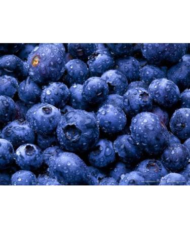 BLUEBERRIES FRESH PRODUCE FRUIT VEGETABLES PINT 10 OZ