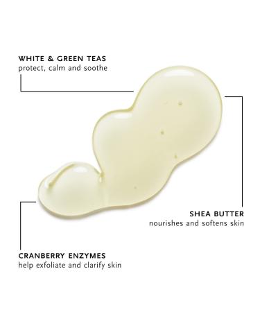 ARCONA White Tea Purifying Water Based Cleanser for Sensitive Skin - 3.67oz - Made in USA - Buy Online on GoSupps.com