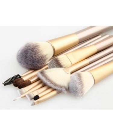 12-Piece Beige Makeup Brush Set | Essential Beauty Tools for Beginners | 18cm Quality Brushes - Buy Online on GoSupps.com