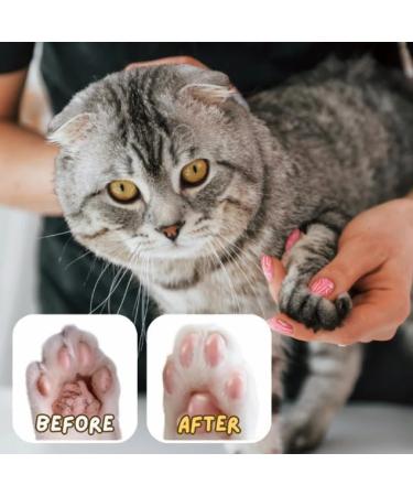 Njula Paw Care Stick Paw Ointment Stick Njula Paw Care Balm Pet Care Cream Njula Paw Moisturizer for Dry Paw Pads Cuddlesmeow Pet Care Creams for Dry Skin (3pcs) - Buy Online on GoSupps.com