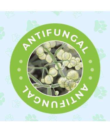 Pro Pet Works Organic 5-in-1 Oatmeal Dog Shampoo & Conditioner 17oz - Made in USA for Dandruff, Allergies & Itchy Skin - Puppy Grooming for Dogs & Cats - Soap & Sulfate Free - Buy Online on GoSupps.com