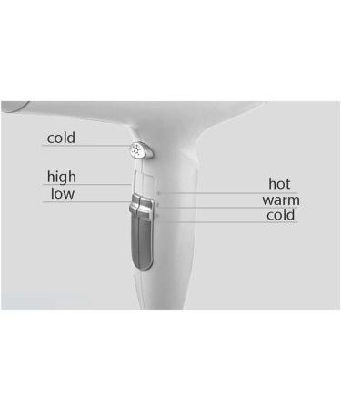 Ionic Hair Dryer 2200 Watt Professional Powerful Blow Dryer with 2 Speed and 3 Heat Powerful Negative Ionic Hairdryer AC Motor Drier Lightweight Fast Drying for Home and Salon Men and Women Small - Buy Online on GoSupps.com