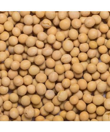 Wholefood Earth Organic Soya Beans 500g - GMO Free, Vegan, High Fibre & Protein - Certified Organic - Buy Online on GoSupps.com