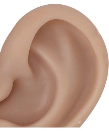 Silicone Flexible Ear Model - Dark Skin Color | Soft & Realistic Human Ear Replica - Buy Online on GoSupps.com