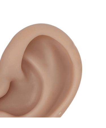 Realistic Fake Ear Model for Ear Piercing - Reusable Soft Silicone Simulation (Dark Skin Color) - Buy Online on GoSupps.com