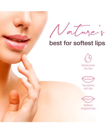 Falak Himalayan Rose Lip Balm - Moisturize & Repair Chapped Lips with 100% Natural Himalayan Rose Oil - 10g - Buy Online on GoSupps.com