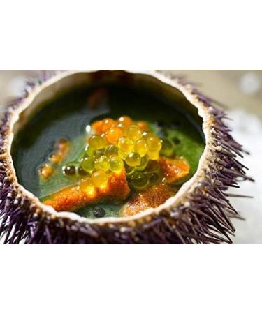  TartufLanghe WASABI Pearl - Conduit based on extruded olive oil 50g - Buy Online on GoSupps.com