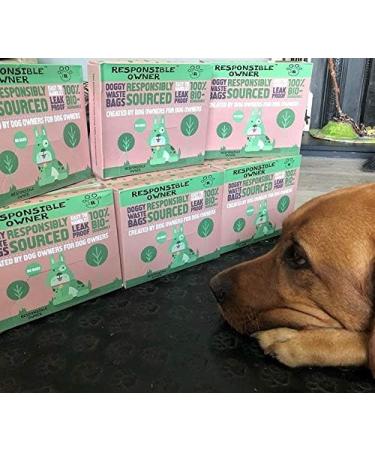 Responsible Owner Dog Poo Bags 80 Environmentally Friendly Extra Thick Super Strong 100% Biodegradable Dog Bags With Easy-tie Handles Leak-proof Each Dog Poo Bag Measures 17 x 37cm Earth Green Earth Green 1 count (Pack of 1) - Buy Online on GoSupps.com