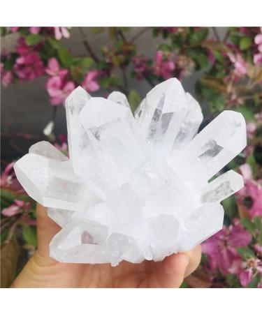 Natural Clear Quartz Crystal Cluster Minerals for Reiki Stone Home Furnishing Decoration Suitable for Furniture Decoration Full of Texture (Size : 700-800g) - Buy Online on GoSupps.com