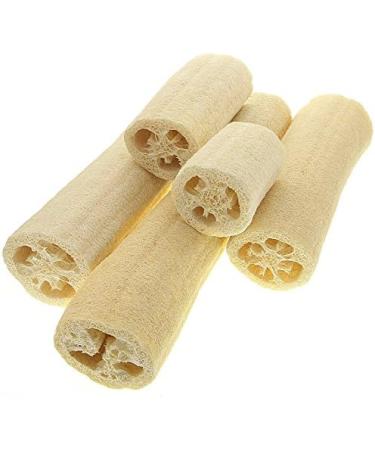 Buy Luffa Cucumber Sponge Set - Natural Fiber Sponges (10 19 34cm) - 3 Pieces for Eco-Friendly Cleansing | International Shipping Available - Buy Online on GoSupps.com