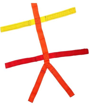 MERIGLARE Lumbar Support Brace for - Buy Online on GoSupps.com