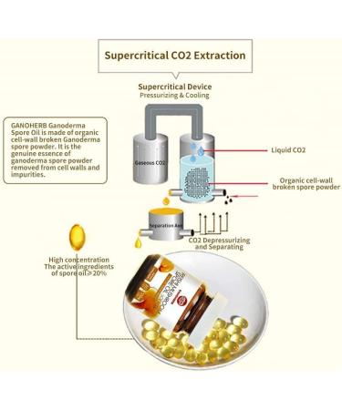 GANOHERB Organic Reishi Mushroom Spore Oil Supplement-USDA Ganoderma Lucidum Extract Capsule-Immune System Natural Energy for Wellness&Liver Support-Vegan Non-GMO Gluten Free 30 Veggie Softgels - Buy Online on GoSupps.com