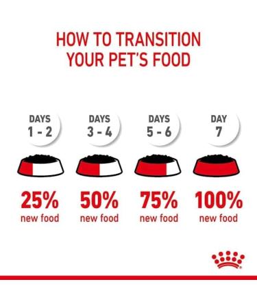 Royal Canin - Royal Canin Cat Jelly: Ultra Light (X12) Roy Light Jelly 12 Sachets - Buy Online on GoSupps.com