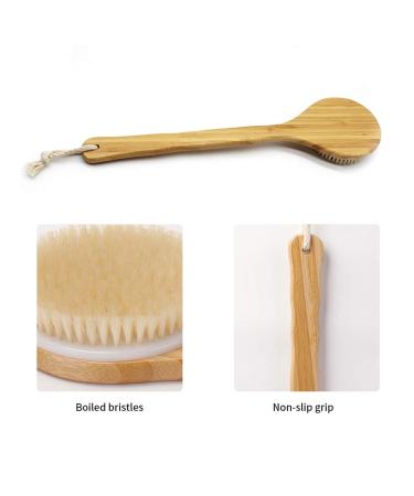 Zhurson Dry Body Brush - Natural Bristle Back & Shower Brush with Long Wooden Handle for Exfoliation Blood Circulation & Lymphatic Support - Buy Online on GoSupps.com