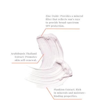 Celesty Beauty AntiAging Sunscreen SPF30 Ocean Based Extract Cream Sunburn & Aging Defense Broad Spectrum Lightweight Moisturizing Mineral Sunblocker Antioxidant Face Large 2 Fl Oz Sunscreen. - Buy Online on GoSupps.com