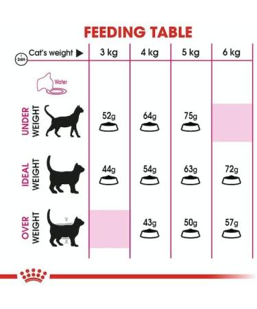 Royal Canin Cat Food Aroma Exigent Dry Cat Food 400g (Pack of 3) - Buy Online on GoSupps.com
