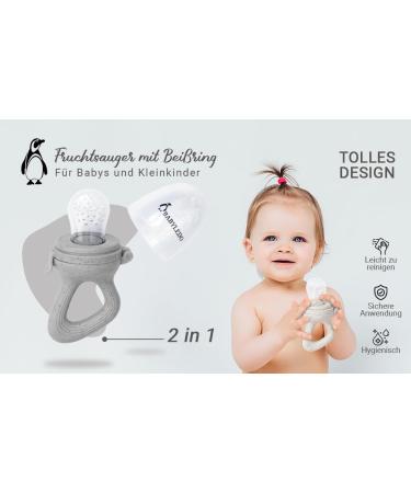 Buy BABYLEDO Baby Fruit Pacifier & Teething Ring - Raccoon Gray | Ideal Teething Aid for Fruits & Vegetables - International Shipping Available - Buy Online on GoSupps.com