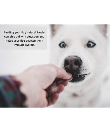 Small Puffed Jerky Lung Cubes 1kg - Natural Dog Treats for Training - Buy Online on GoSupps.com